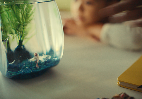 child watching goldfish in bowl