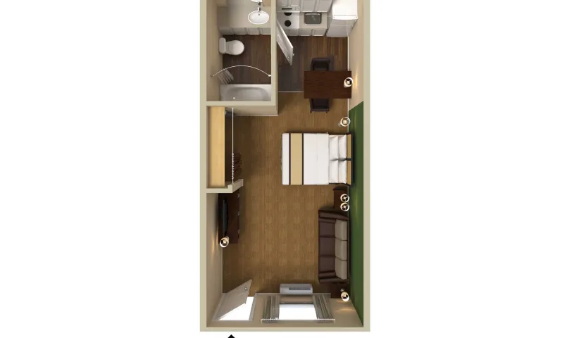 Deluxe Studio - 1 King Bed