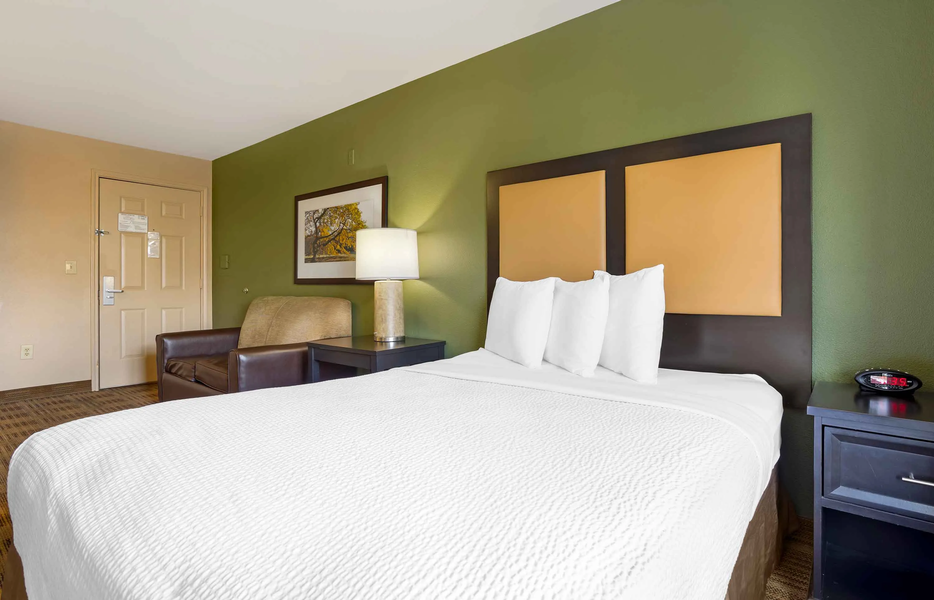 Studio Suite - 1 Queen Bed