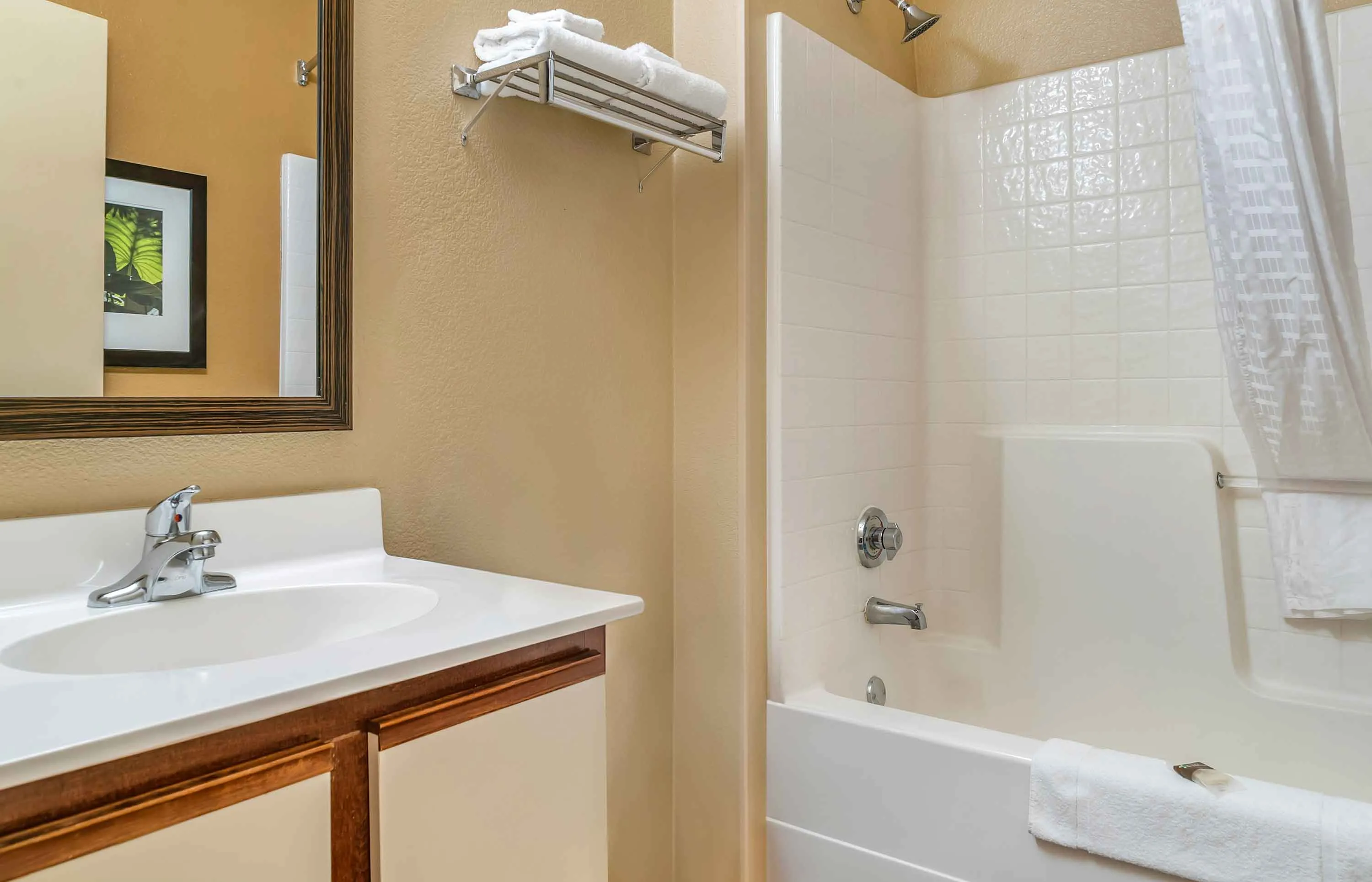 Studio Suite - 1 Queen Bed