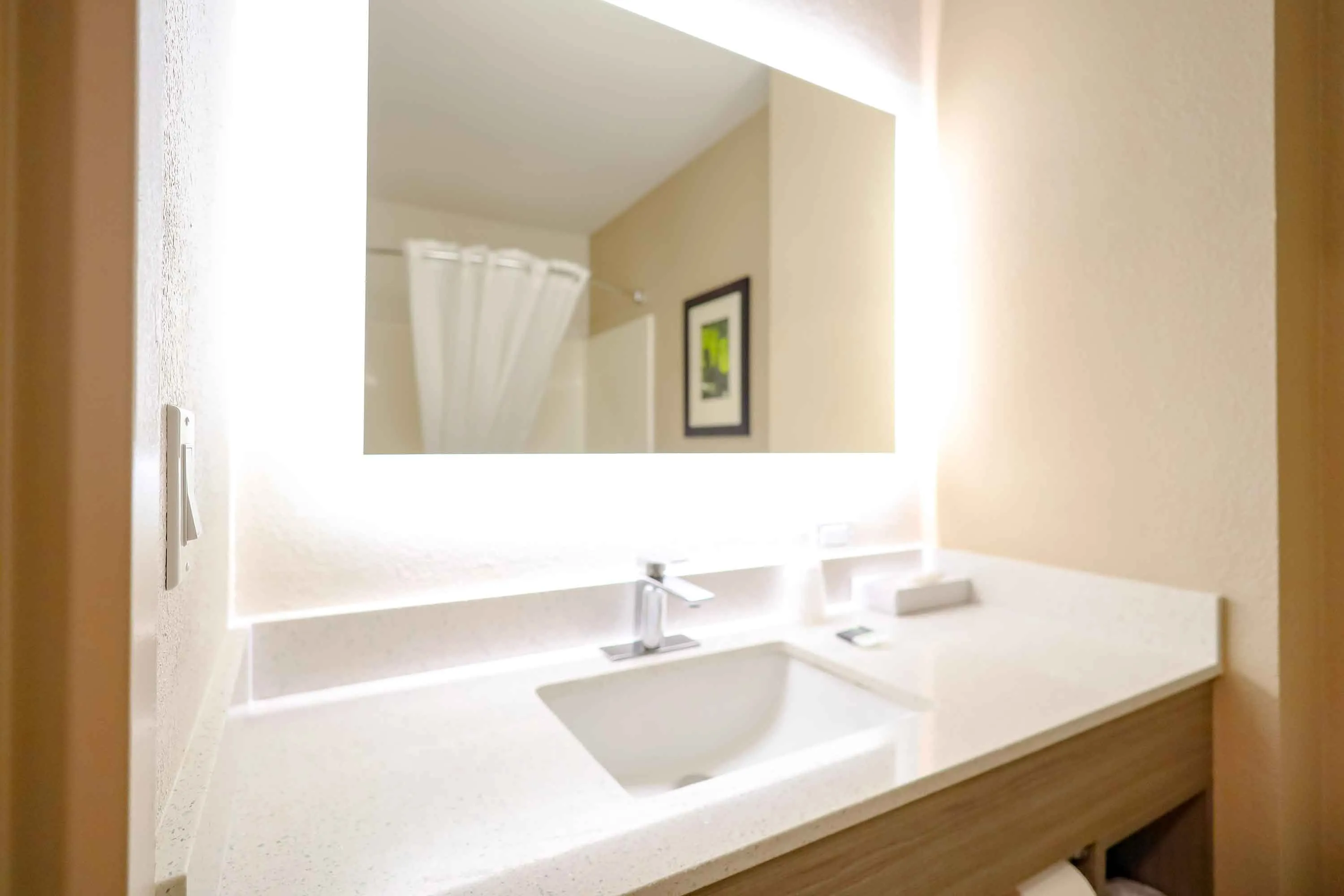 Studio Suite - 2 Full Beds