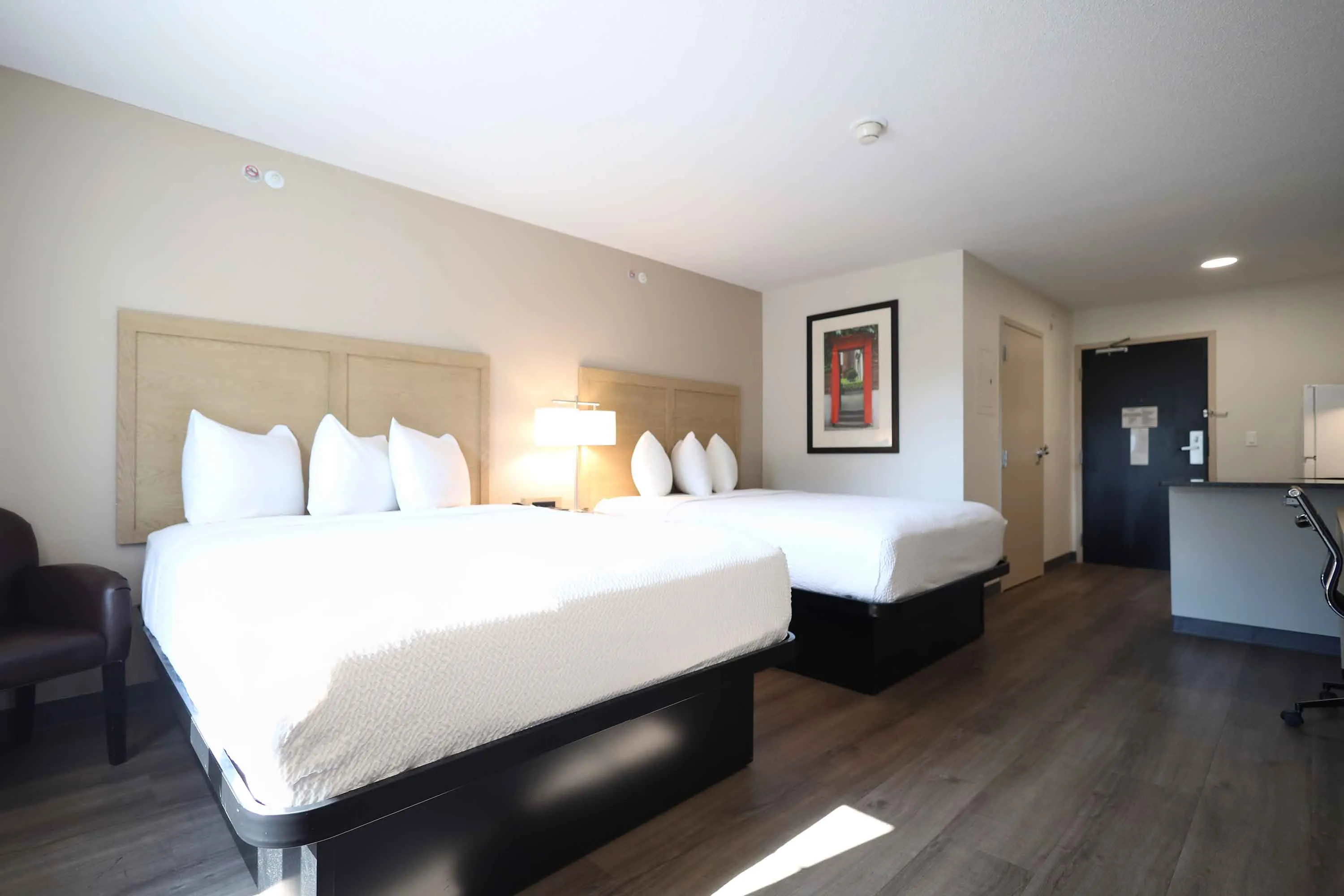 Studio Suite - 2 Full Beds