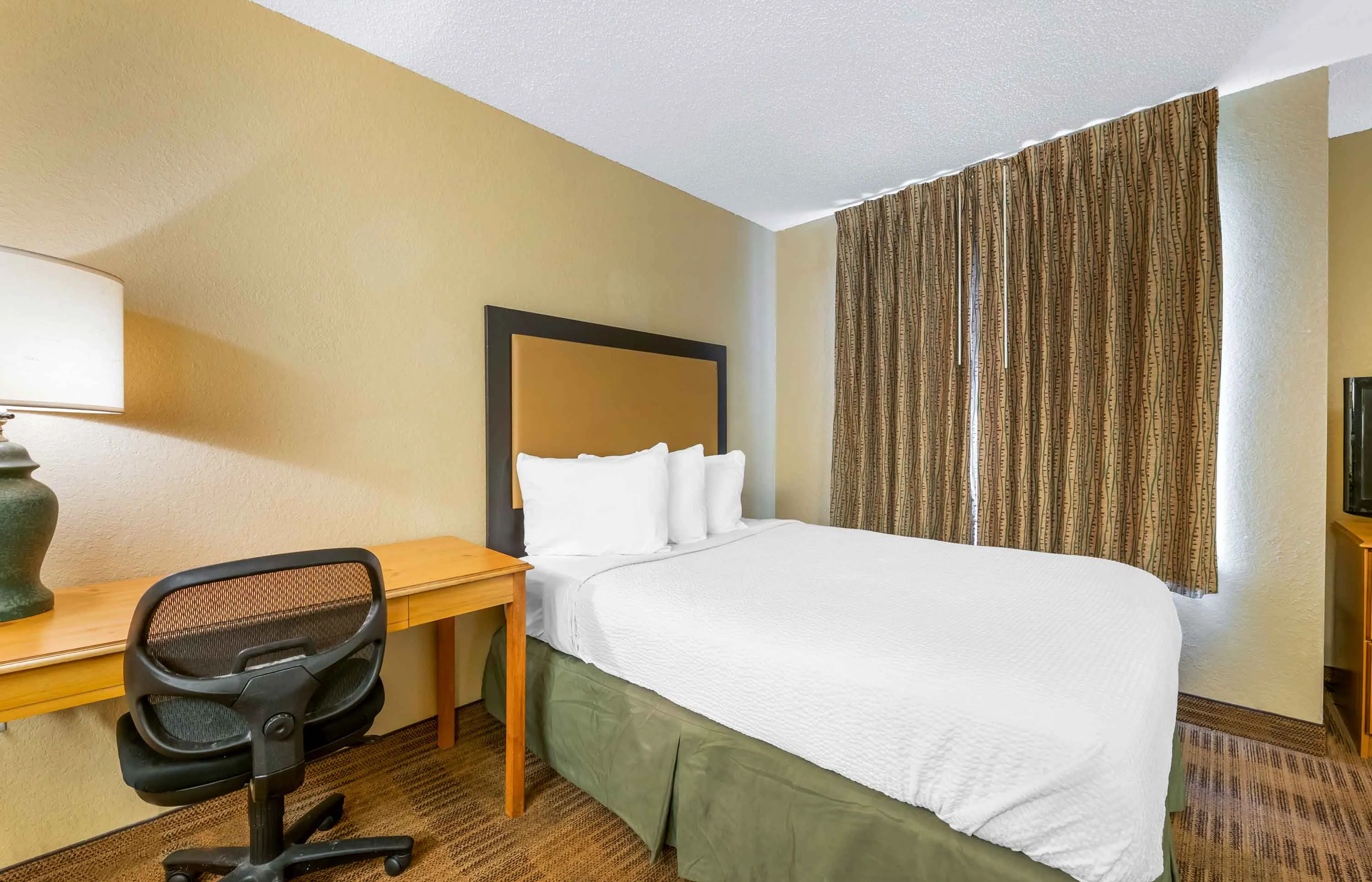 Studio Suite - 2 Full Beds
