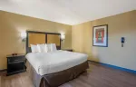 1 Bedroom Suite - 1 King Bed