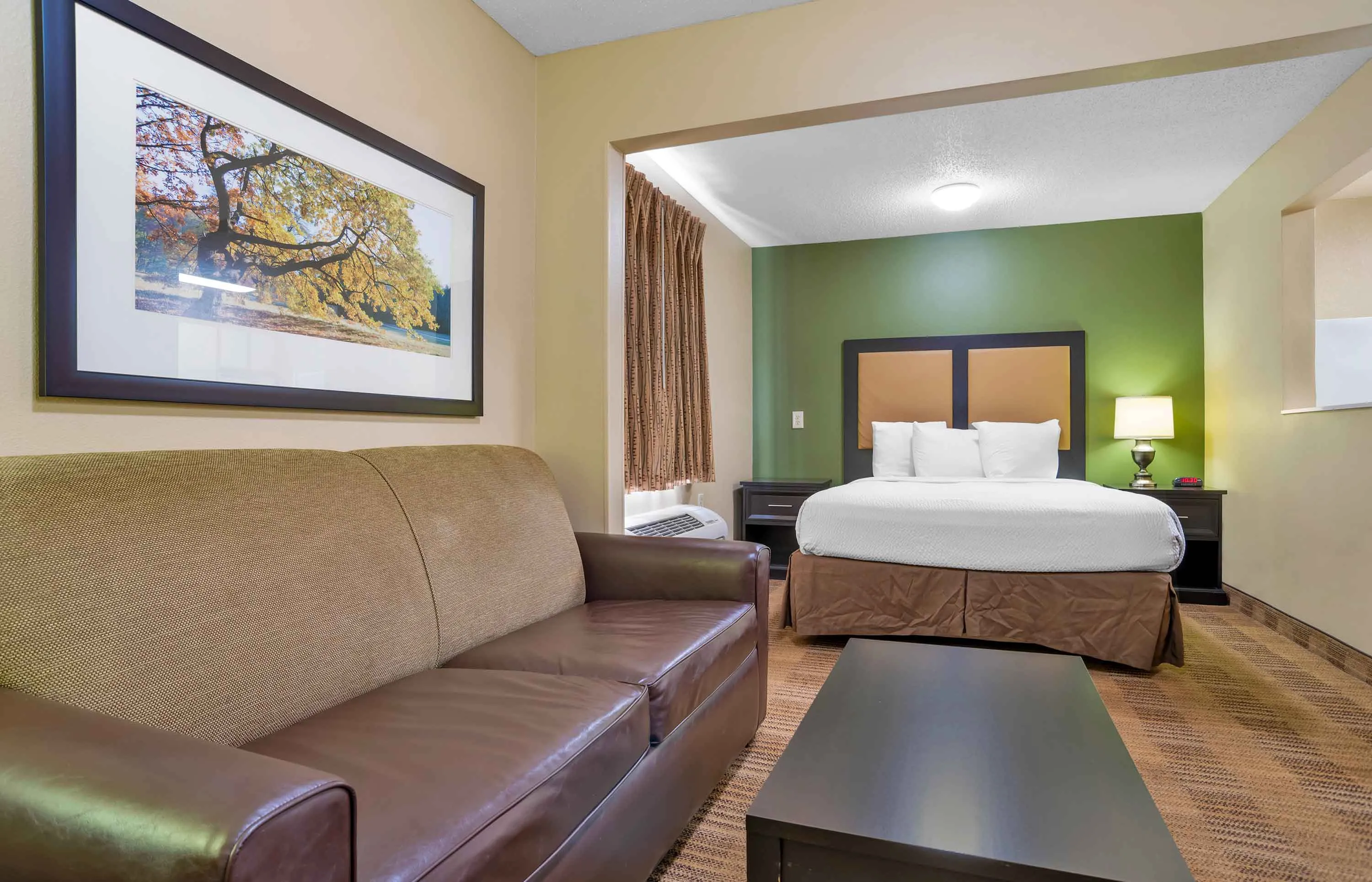 Deluxe Studio - 1 Queen Bed