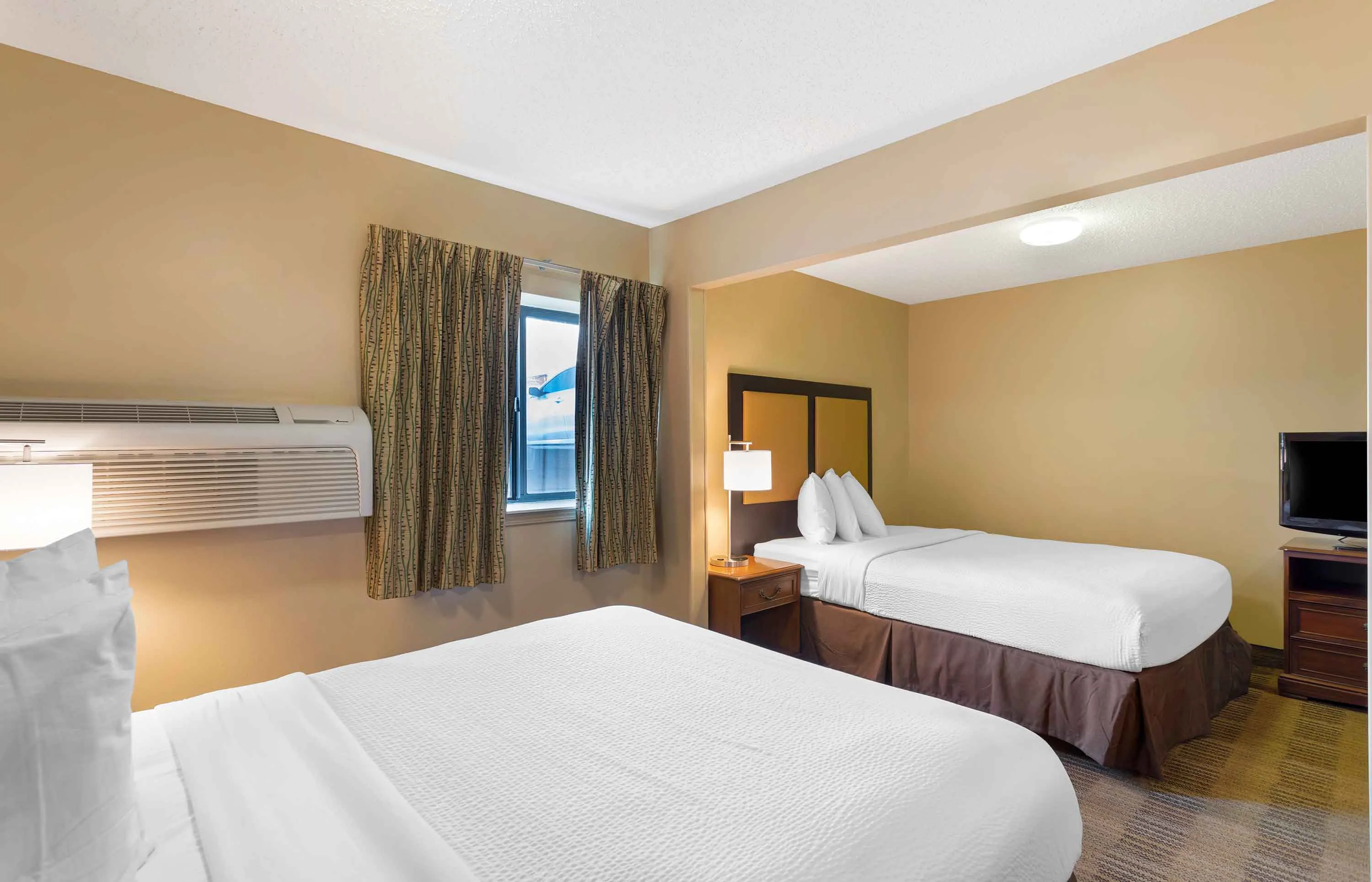 Studio Suite - 1 Queen and 1 Full Bed