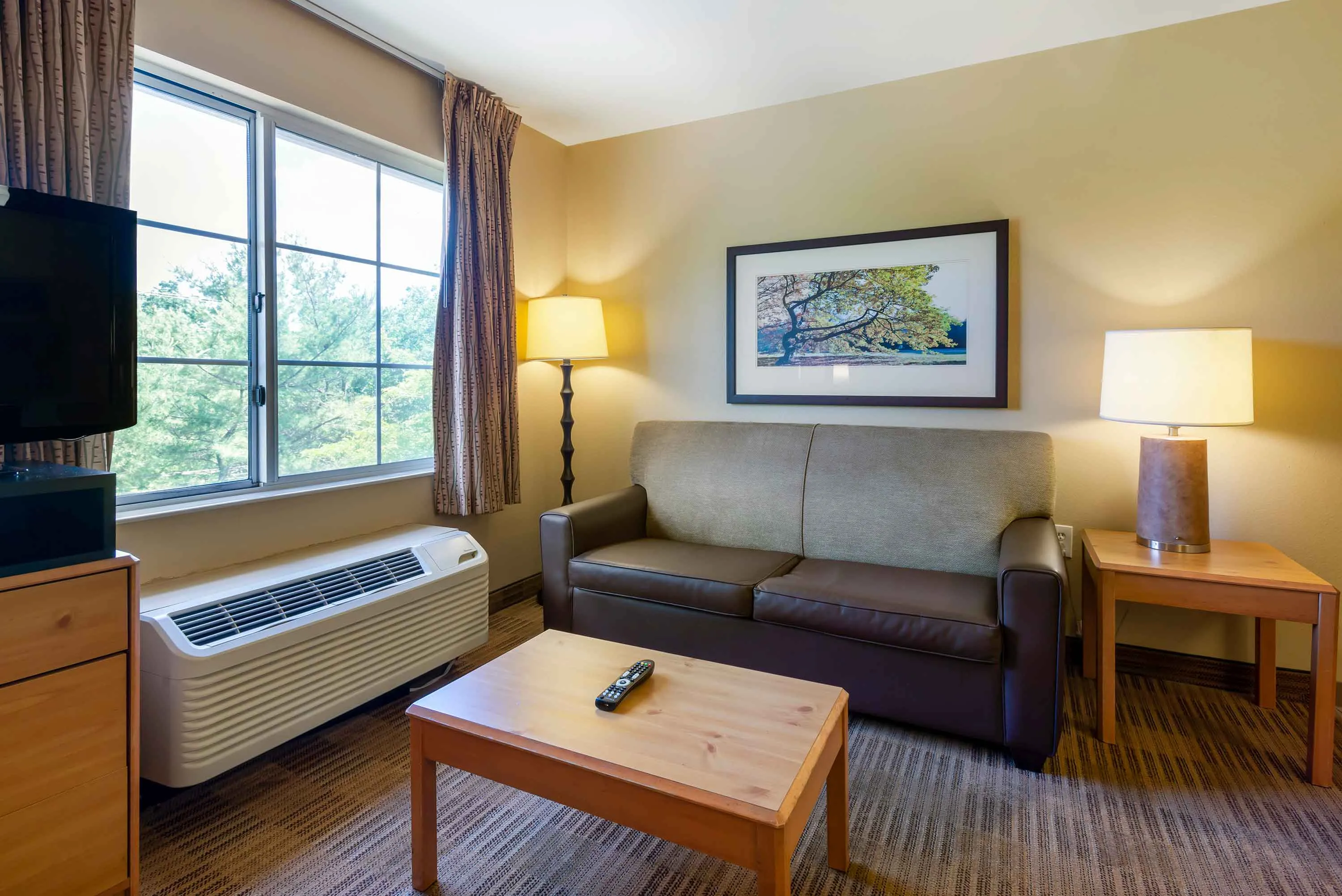 Deluxe Studio - 2 Full Beds