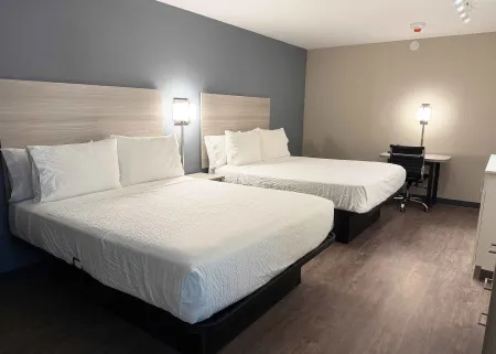 Studio Suite - 2 Queen Beds