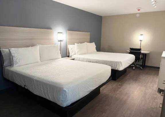 Studio Suite - 2 Queen Beds