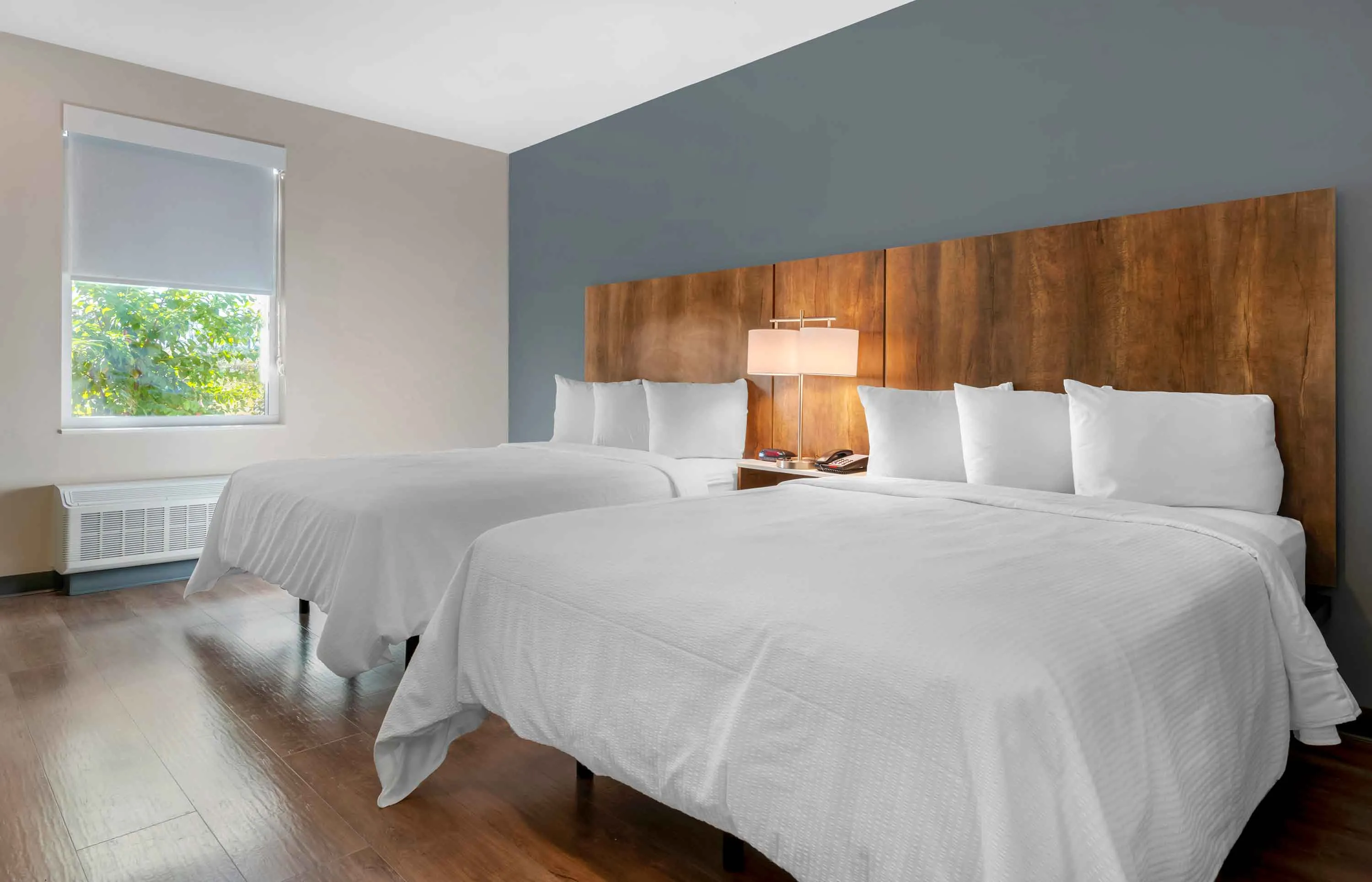 Studio Suite - 2 Full Beds