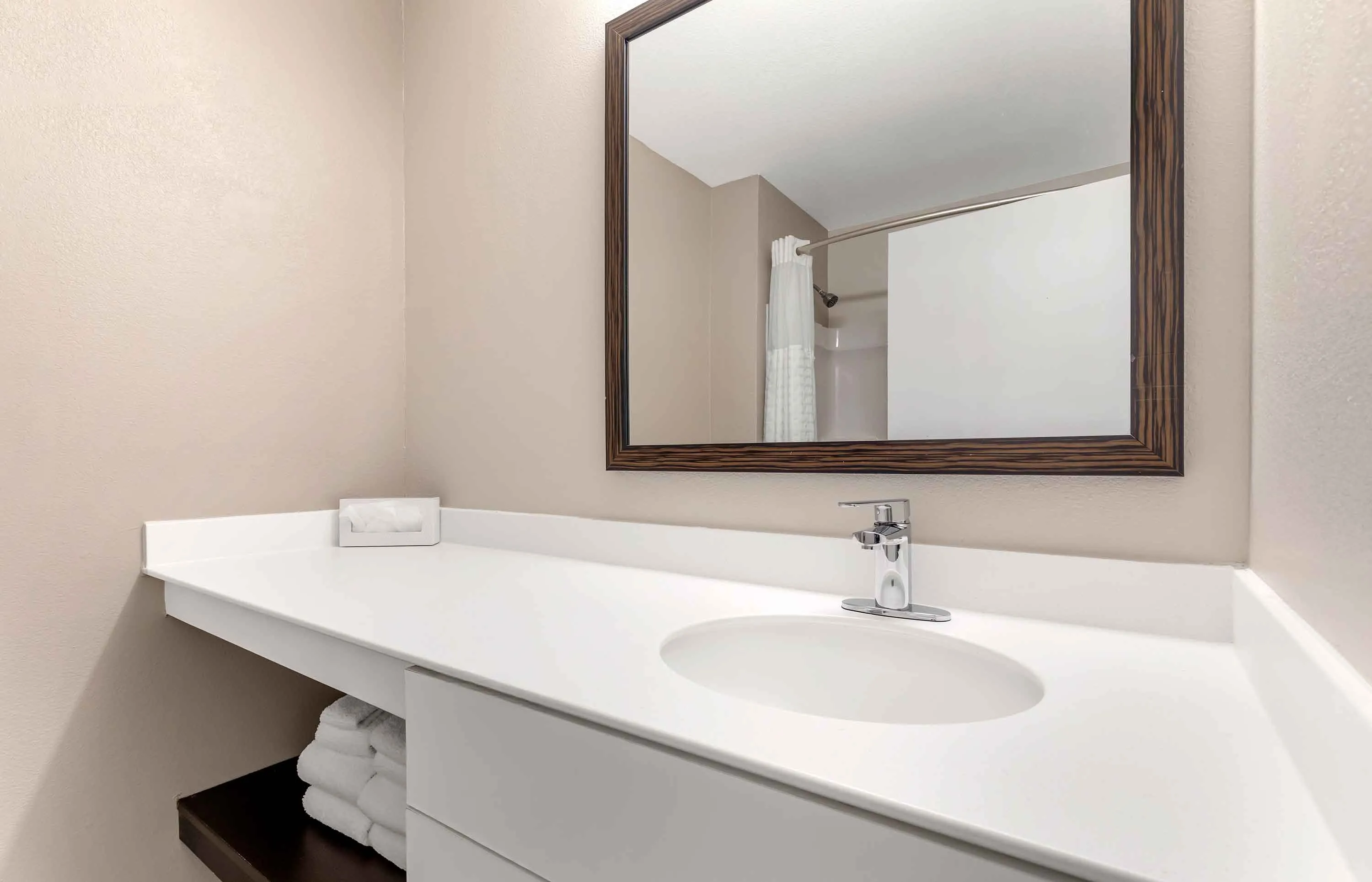 Studio Suite - 1 Queen Bed
