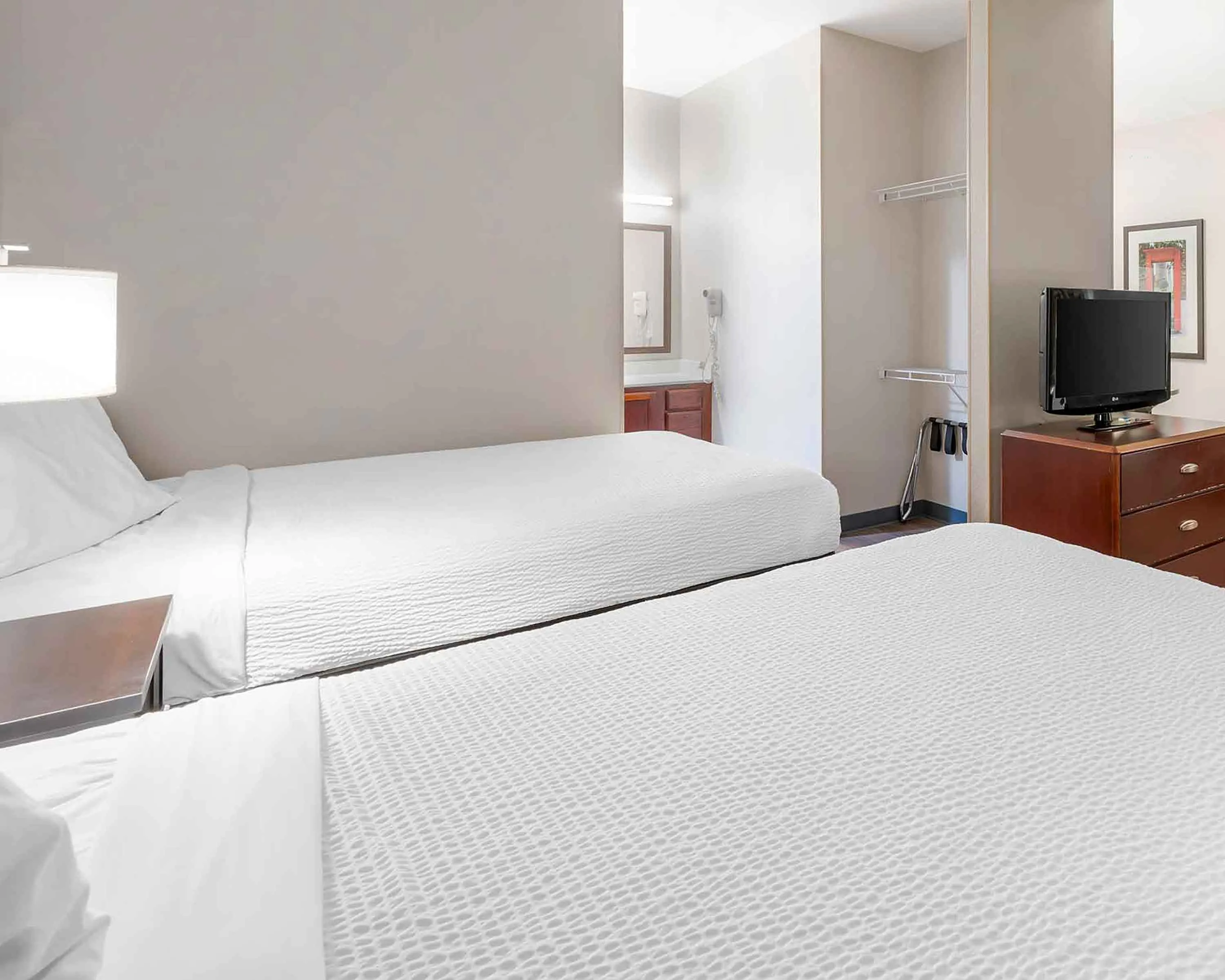 Studio Suite - 2 Full Beds