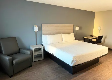 Studio Suite - 1 King Bed