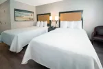 Studio Suite - 2 Full Beds