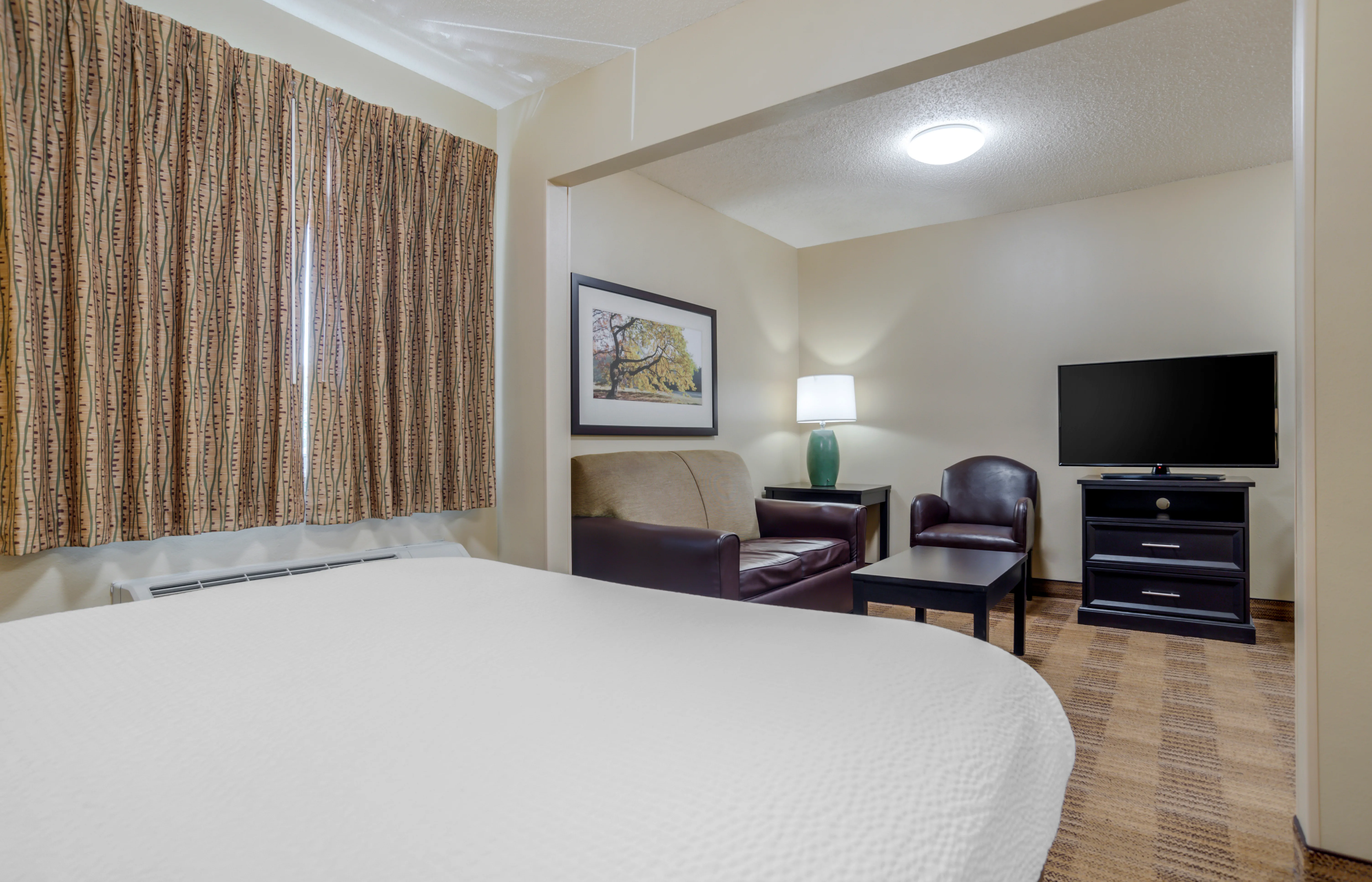 Deluxe Studio - 1 Queen Bed