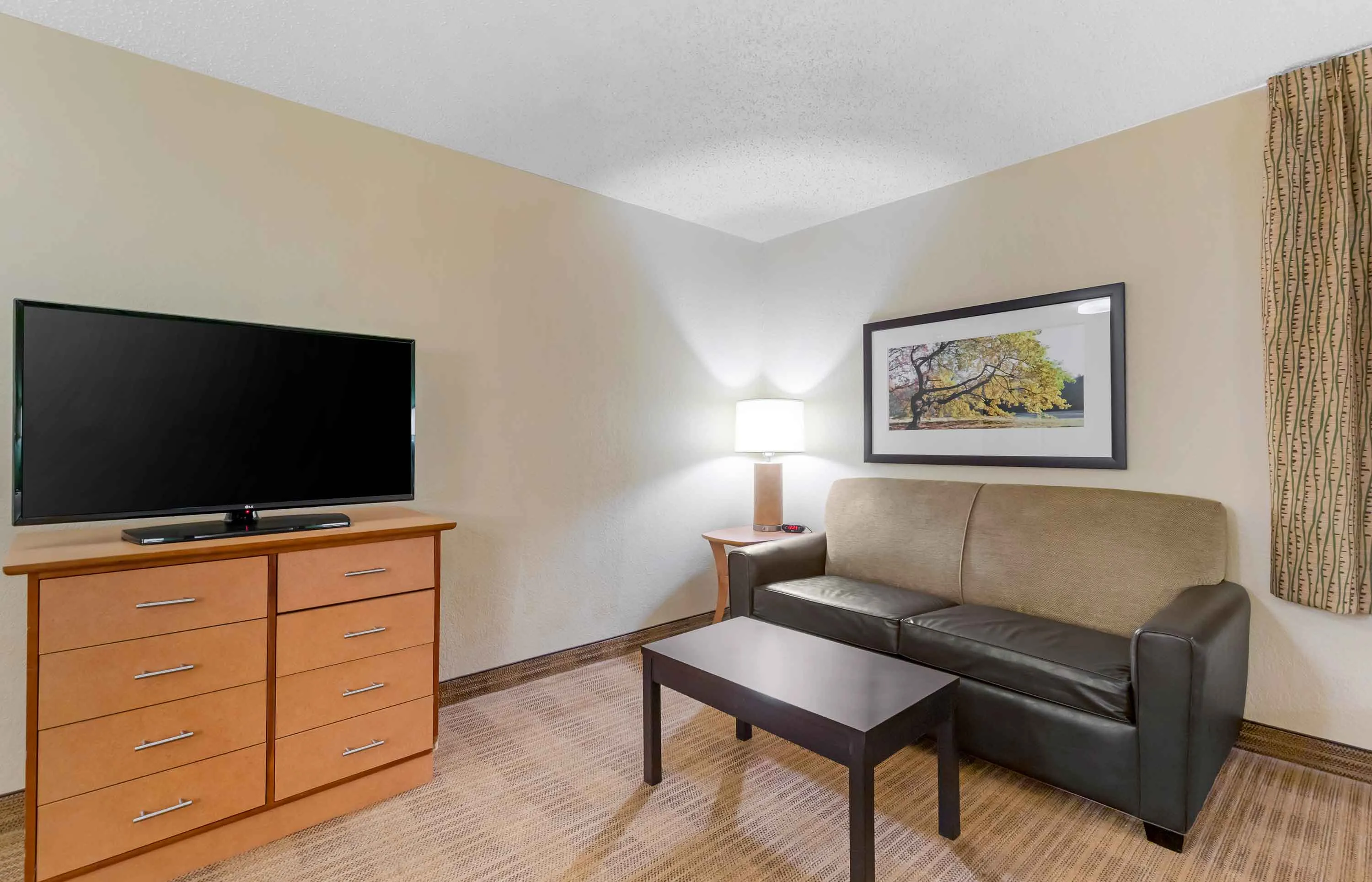 Studio Suite - 1 Queen Bed