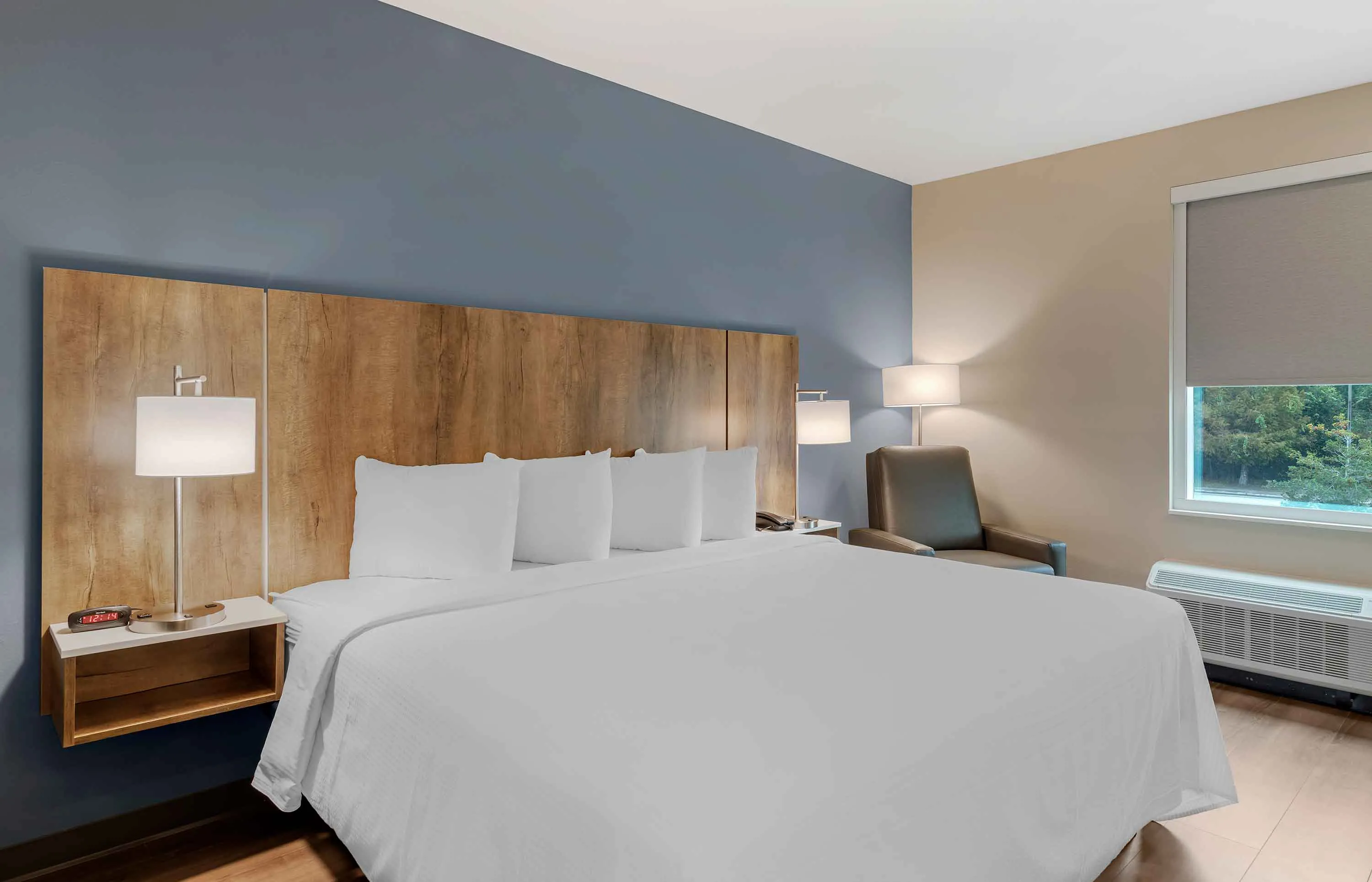 Studio Suite - 1 King Bed