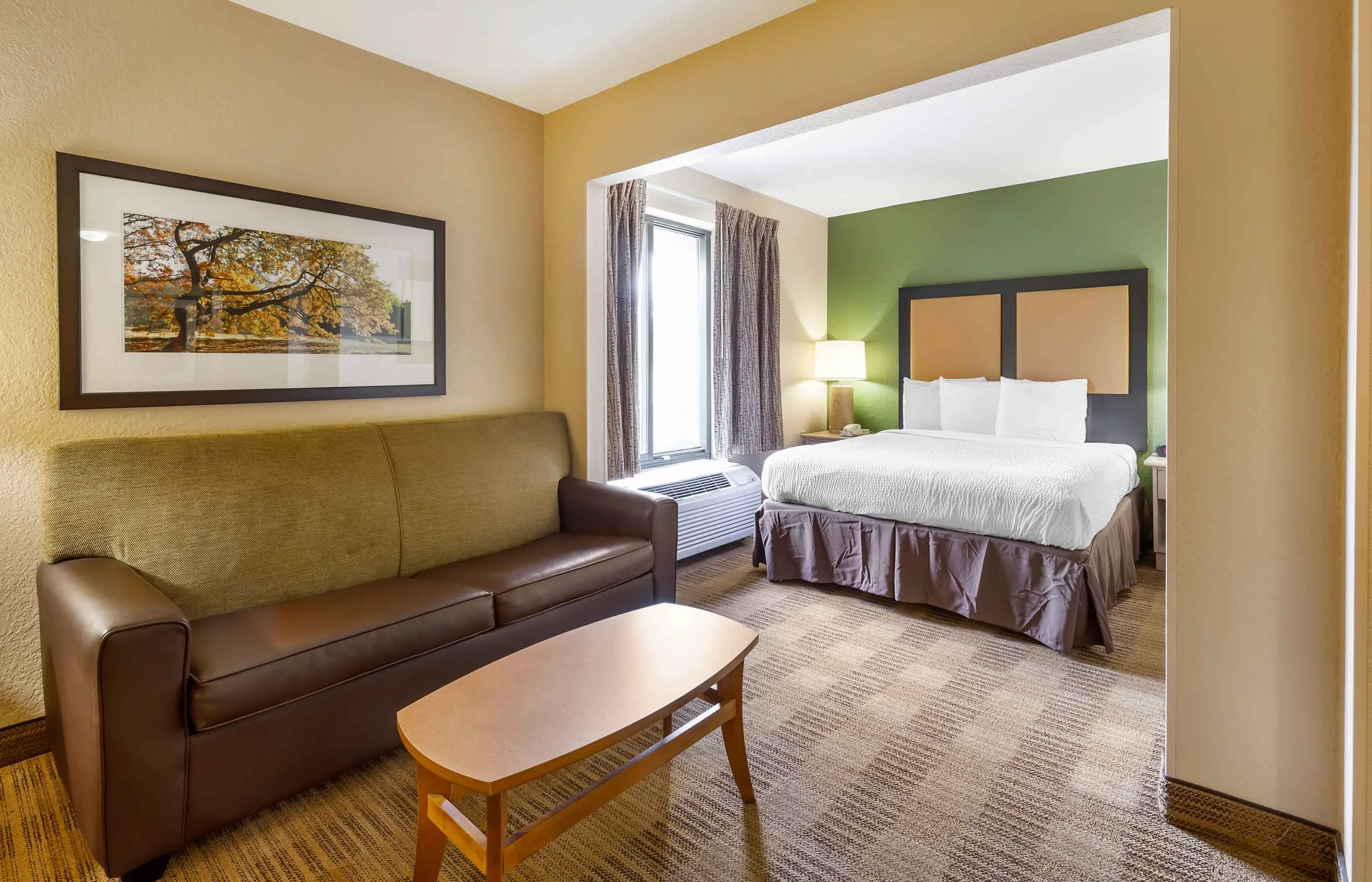 Deluxe Studio - 1 Queen Bed