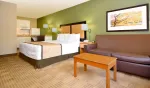 Deluxe Studio - 1 King Bed